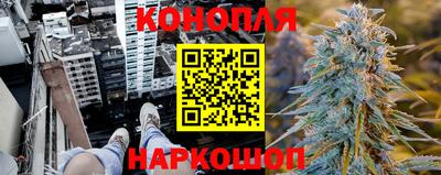 PSILOCYBIN Бугуруслан
