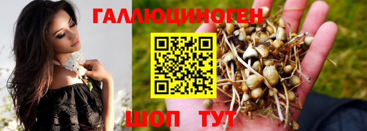 Галлюциногенные грибы Cubensis  Псилоцибиновые грибы Magic Shrooms  Вход с VPN  Улан-Удэ 