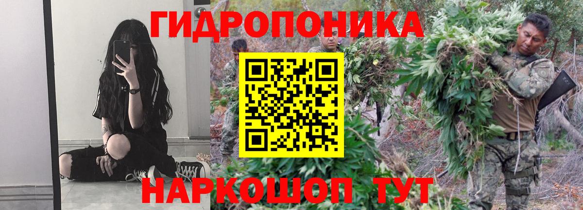 МАРИХУАНА семена  Вход с VPN  Канабис семена  Улан-Удэ  Бошки марихуана SATIVA & INDICA 